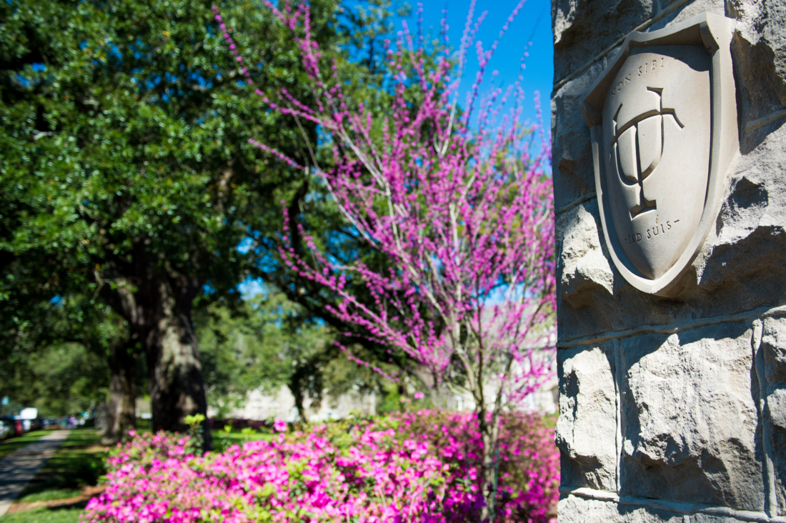 Campus flowers