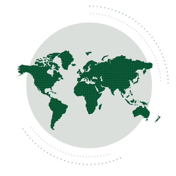 Our students represent over 85 different countries