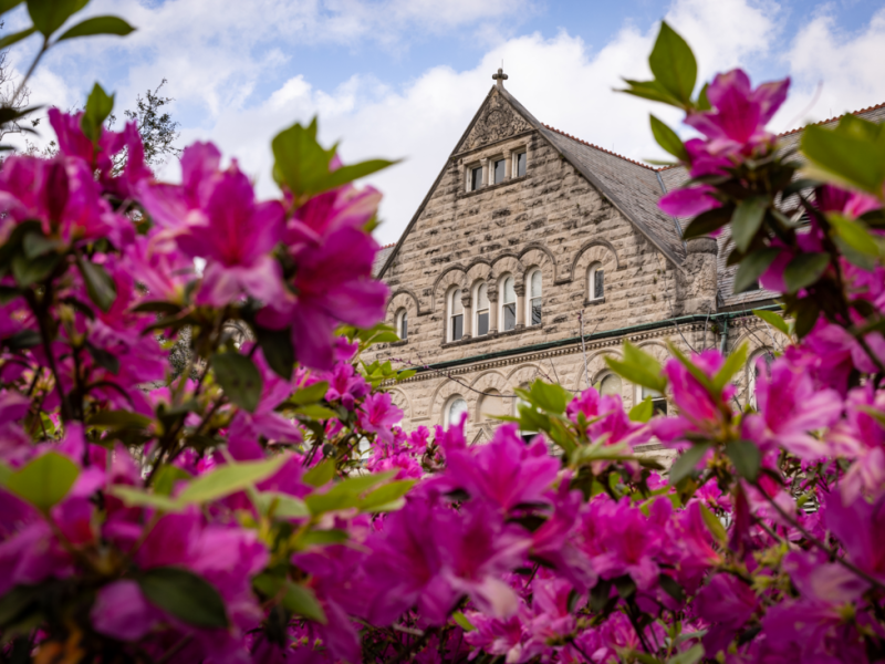 campus flowers