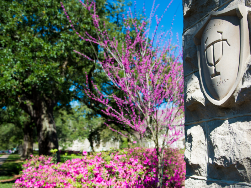 Campus flowers
